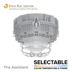 HJQA Series - The Assistant™
