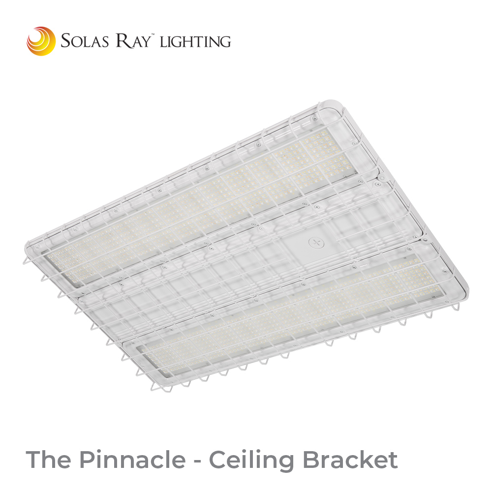 PIN Series - The Pinnacle™ - Image 4