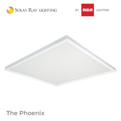 PHL Series - The Phoenix™
